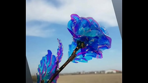 فيديو التحقق 