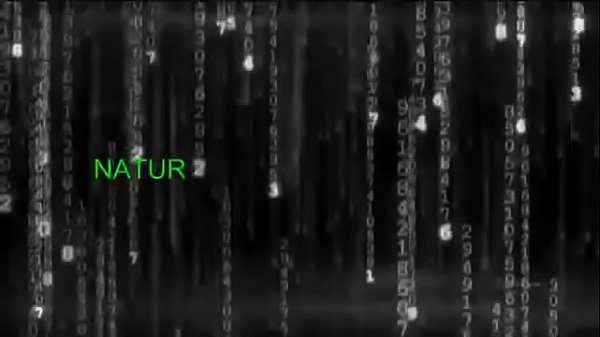 Nonton Wwfw Lmbo thumbnail