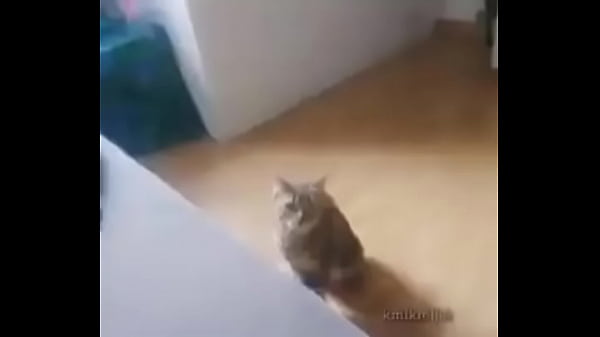 Nonton Me Encuentro Con Colegiala Y Terminamos En Motel thumbnail