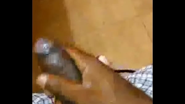 orca share media1479294096865 