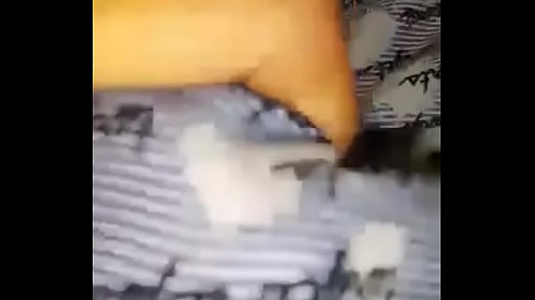 11212956 1613333322284128 1653727660 n