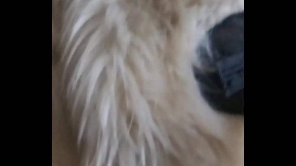 Is this your favorite fur-coat? 