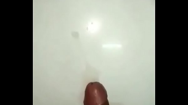 Hoa mi hót trong đ&ecirc_m