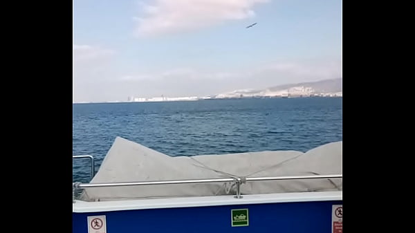 Doğrulama videosu 