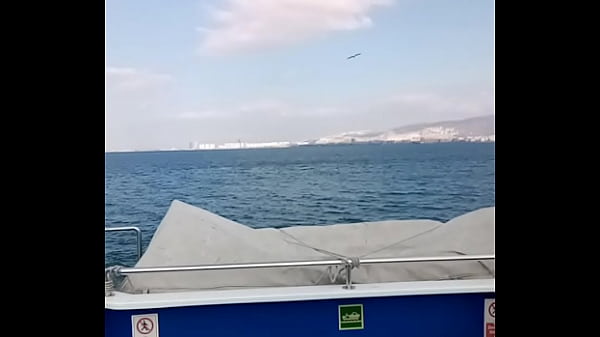 Doğrulama videosu