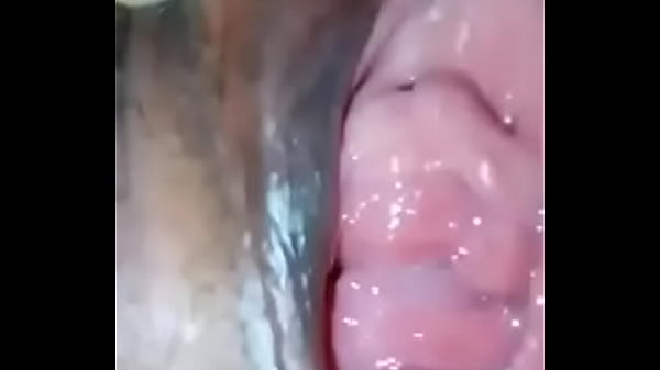 Play MP4 - Chatte suissee