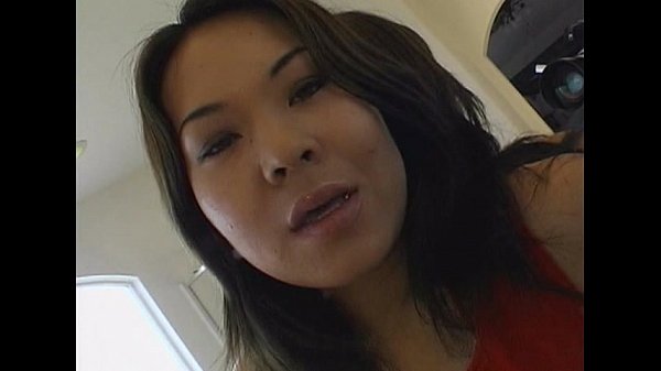 Play MP4 - Wildlife - Yellow Tail - scene 3 - video 1