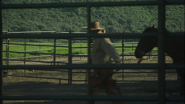 Nonton Kaylani Lei Wanted A Big Dick After Going For A Ride Around The Ranch! thumbnail