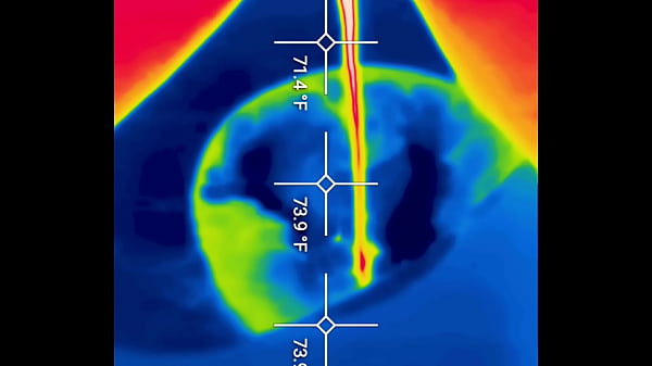 Close up of my hot pee into the toilet 