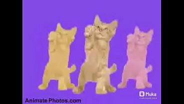 Go Kitty Go! canci&oacute;n completa 