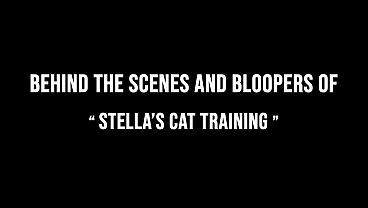 Nonton Backstage And Bloopers Of "stella's Cat Training" Funny Moments thumbnail