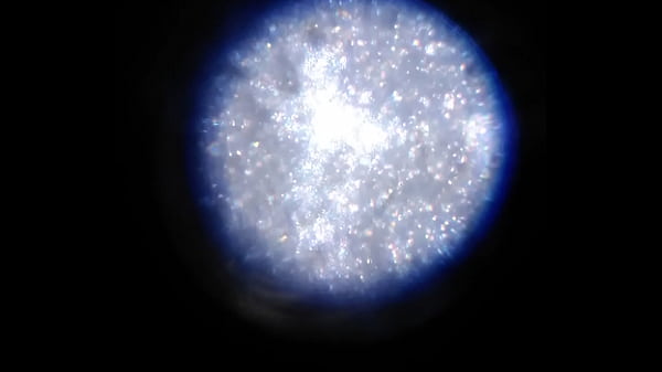 Nonton Examen De Mis Nadadores Semen. thumbnail