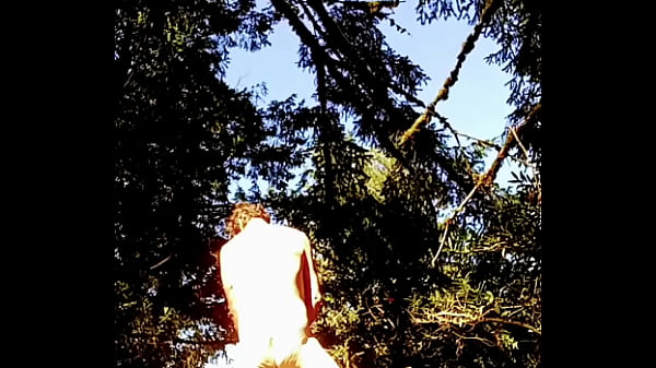 Play MP4 - Surewood Forest