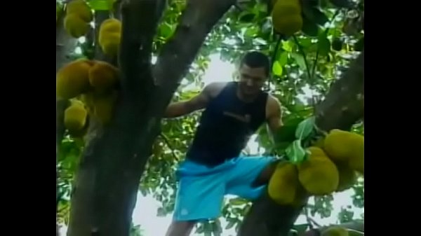 Lusty young Brazilian  dude helps his friend to gather exotical fruits 