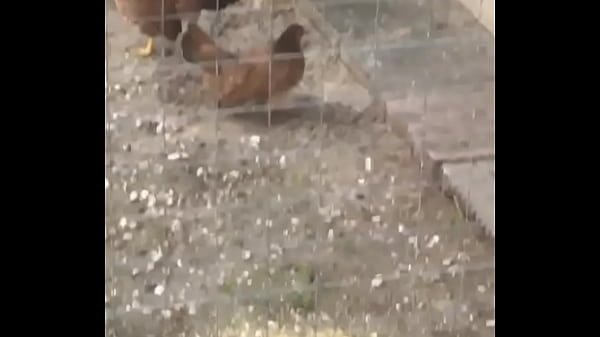 Verificatievideo thumbnail