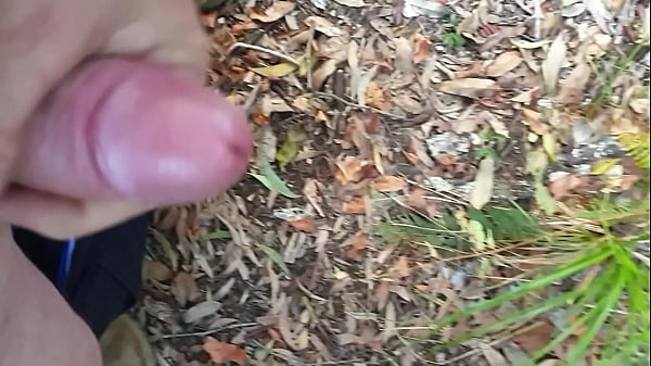 Outdoor cum