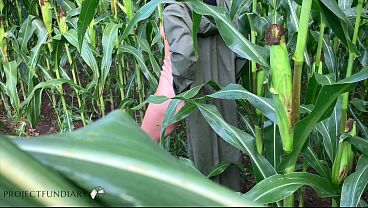 Couple Having Sex In A Public Cornfield - Loving The Thrill To Get Caught thumbnail