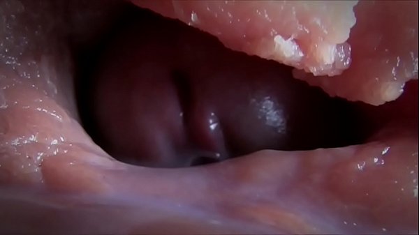 compilacaode esporradelas