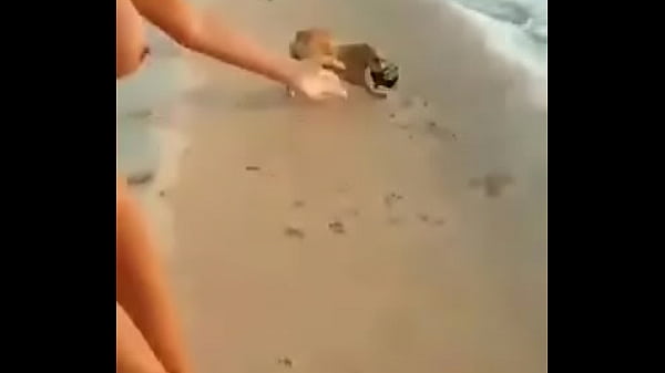 Play MP4 - Argentina desnuda en la playa y perro le roba la tanga 2
