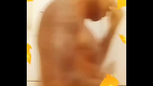 V&iacute;deo de verifica&ccedil;&atilde;o