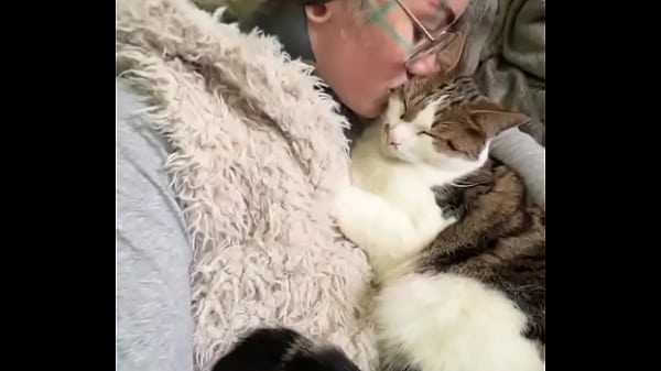 Catswhen you love cats the same as i doshare it with the friend who cuddle the same with cats or the ones who w 