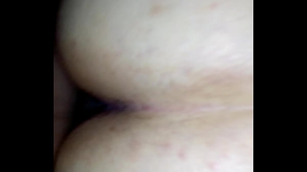 Transandoen Brasil con Estel