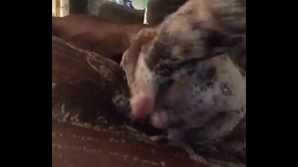 trim.F87F7DCA-E168-49EE-ADD7-DC20185A0970.MOV 