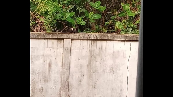 Macaquinha safada &eacute_ comida de 4 por macac&atilde_o preto nos mato