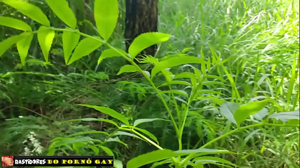 Machos Me Comendo Desejos thumbnail