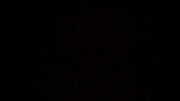 Ověřovac&iacute_ video