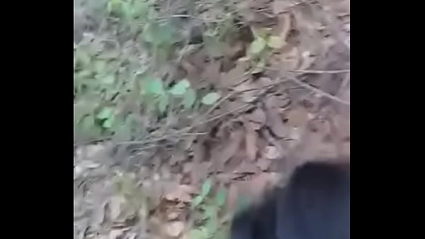 Play MP4 - VID-20171014-WA0104