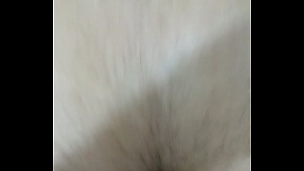 comendo um nativo 