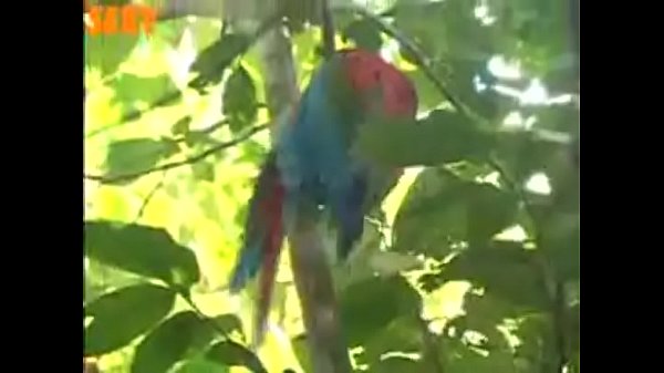 very good woman showing a big ass