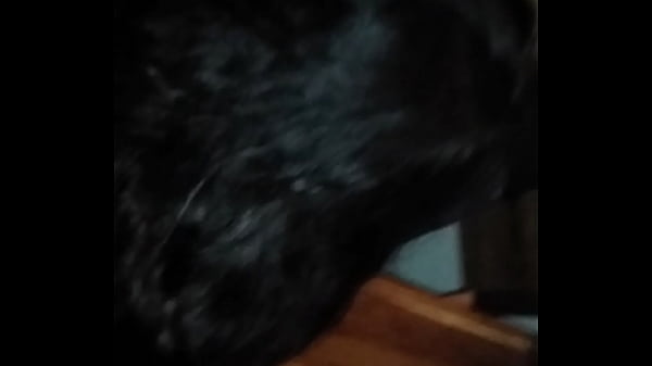 Encuentro_con nenade xvideos