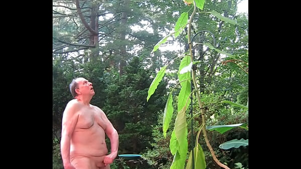 Play MP4 - Sorcerer's Tree&comma; with Sven&period; The tree had a powerful effect on him