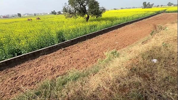 Play MP4 - Pissing in open fields