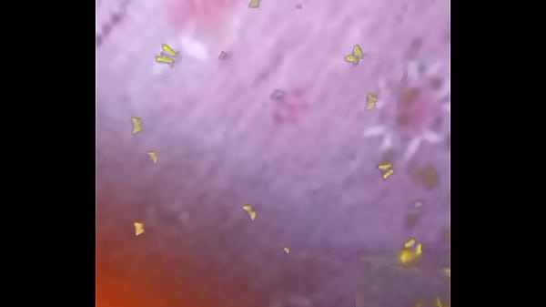 Nonton Bra thumbnail