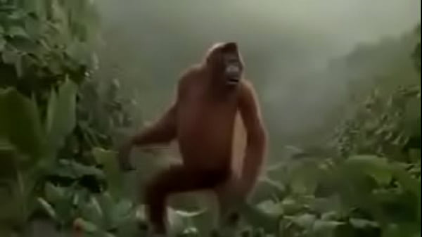 Bom Dia Jovens thumbnail