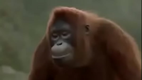 Nonton Bom Dia Jovens thumbnail