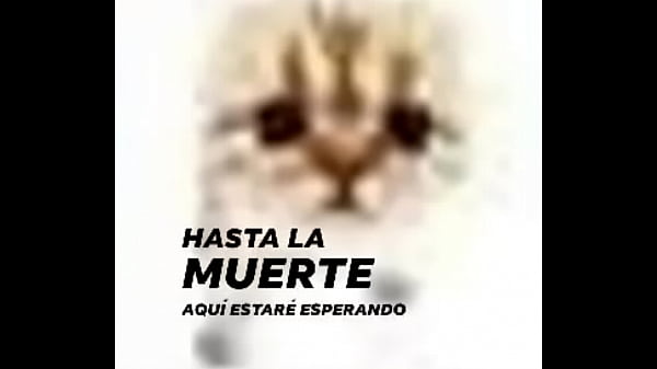 chaval 