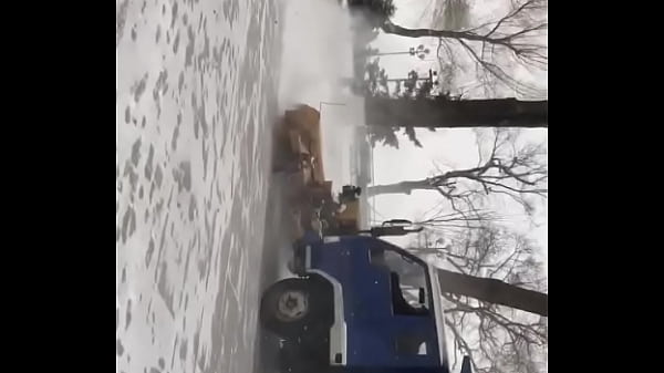 認証動画