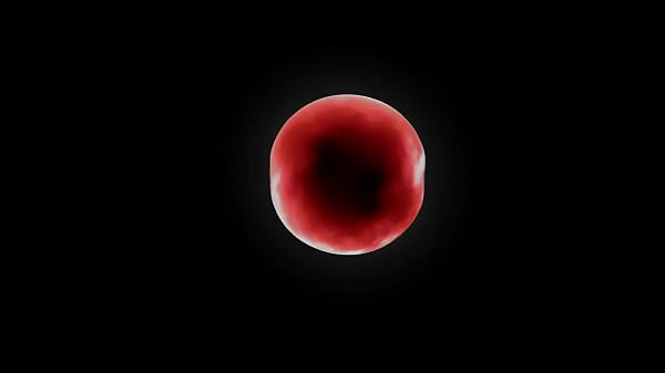 Vac Extensor vacextensorcom