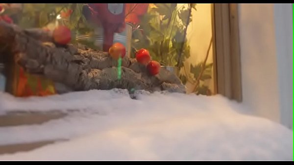 Nonton There Is Almost Certainly That Our Legal Age Teenager Babe Is Craving For Some Sex thumbnail