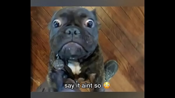 Late night come home