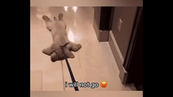 Late night come home 