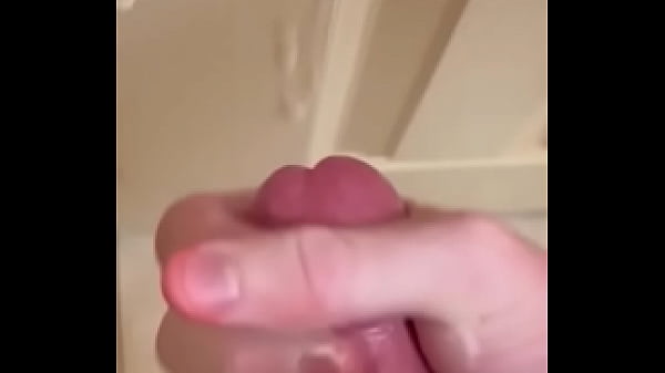 Bridged update #18 img 0958 jan 14 2025 