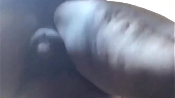 Sexy Ts Jack Til She Busses thumbnail