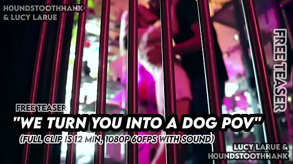 We turn you into a dog pov 