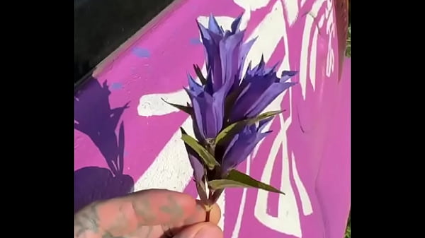 Coffee outside in nature&mdash;so beautiful ️ what&rsquo;s your go to outdoor beverage #outdoorcoffee #naturelovers #co 