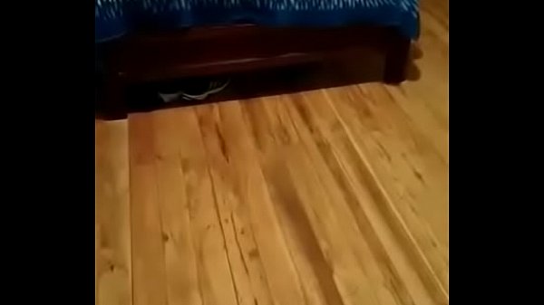 Gorditos follan como perros